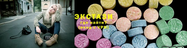 гидра Инта