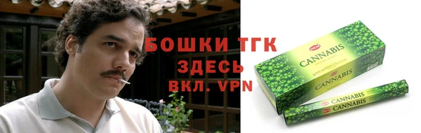дмт Каменногорск