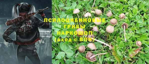 прущие крисы Инсар