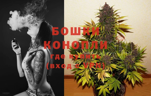 дмт Каменногорск