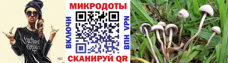 Купить где  Рубцовск  Псилоцибиновые грибы ЛСД 